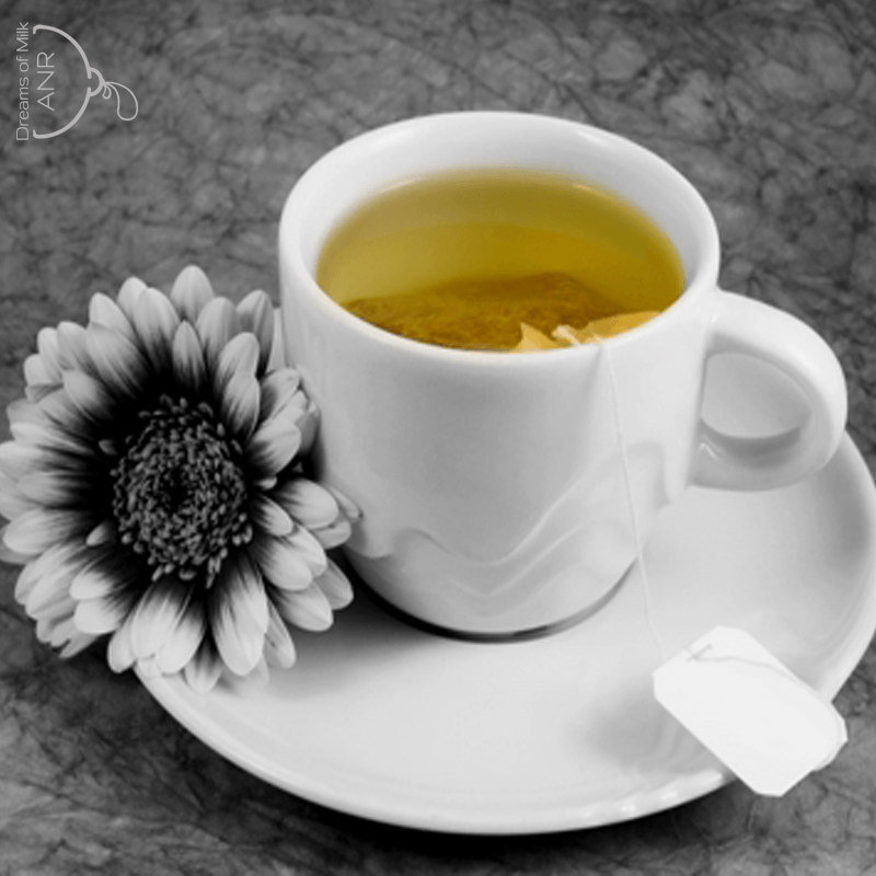 Herbal Galactagogues