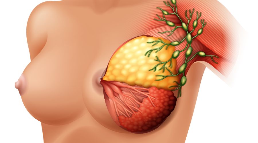 The polyvagal connection — why nursing calms the nervous system