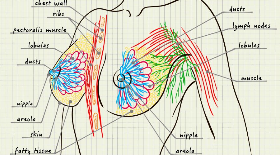 What is let-down and how to encourage it